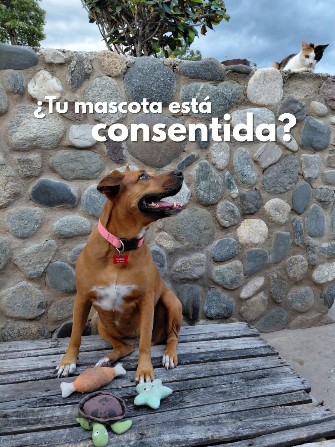 Sin nombre (1/4)
