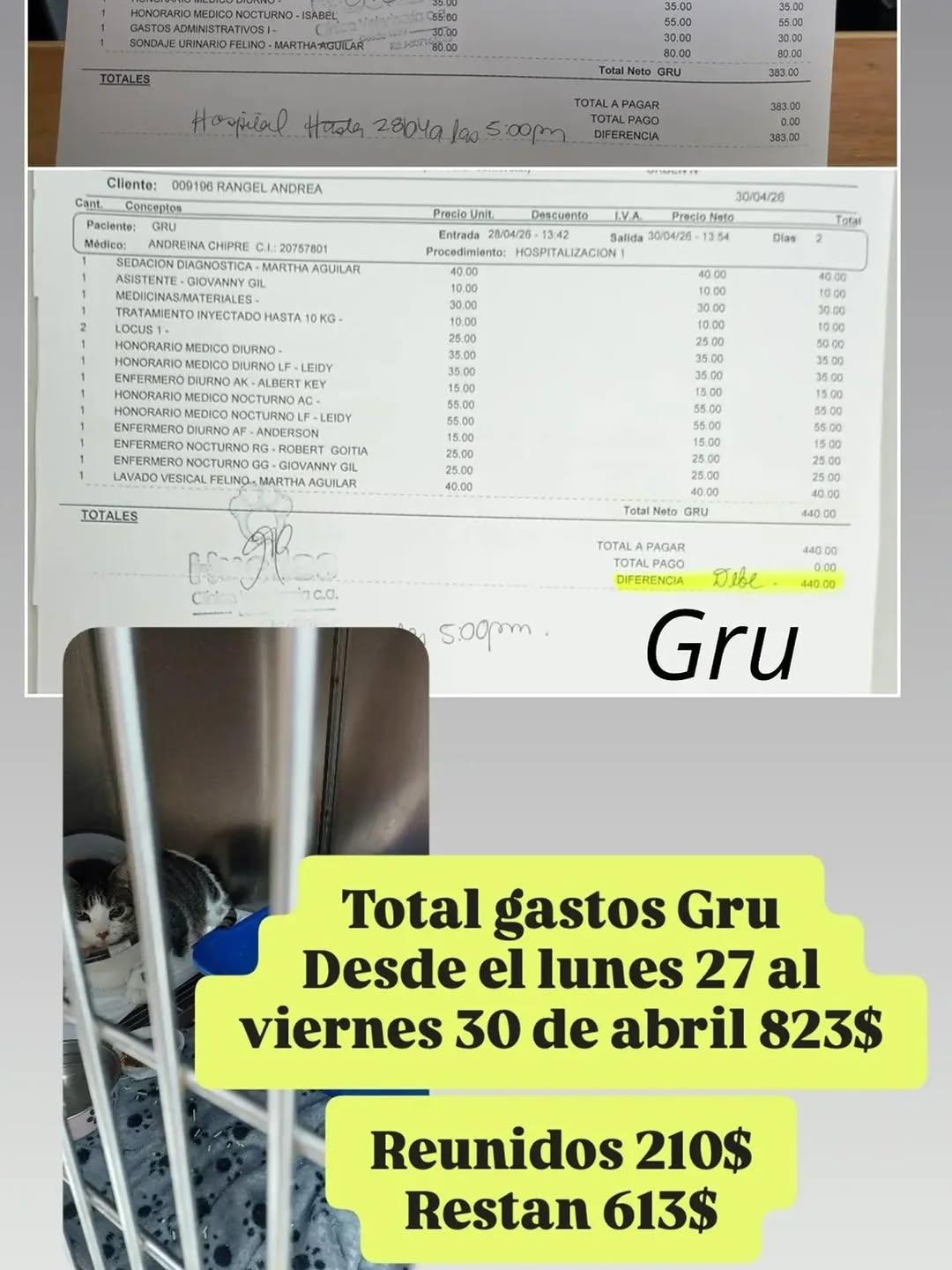 Gru (1/3)