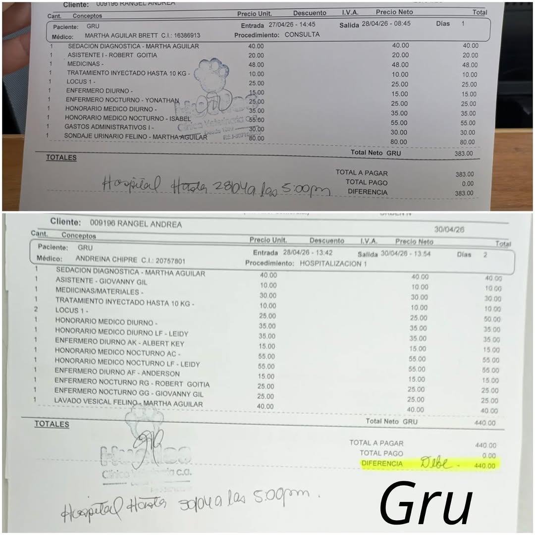 Gru (2/3)