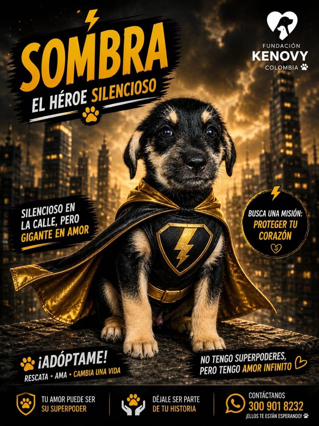 Sombra