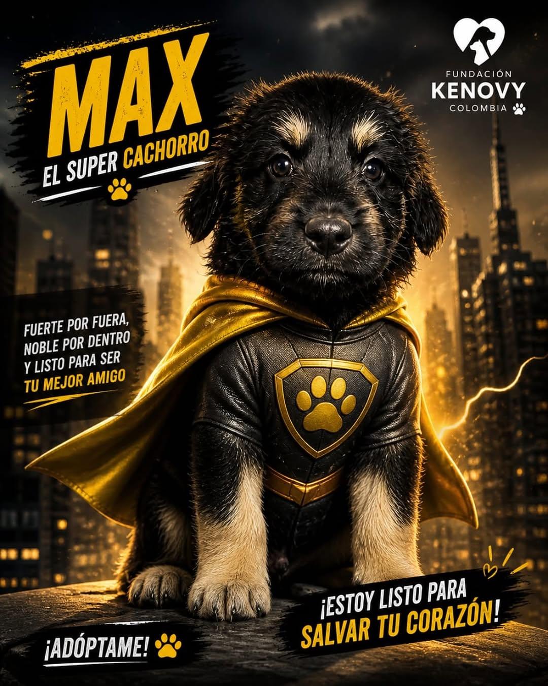 Max