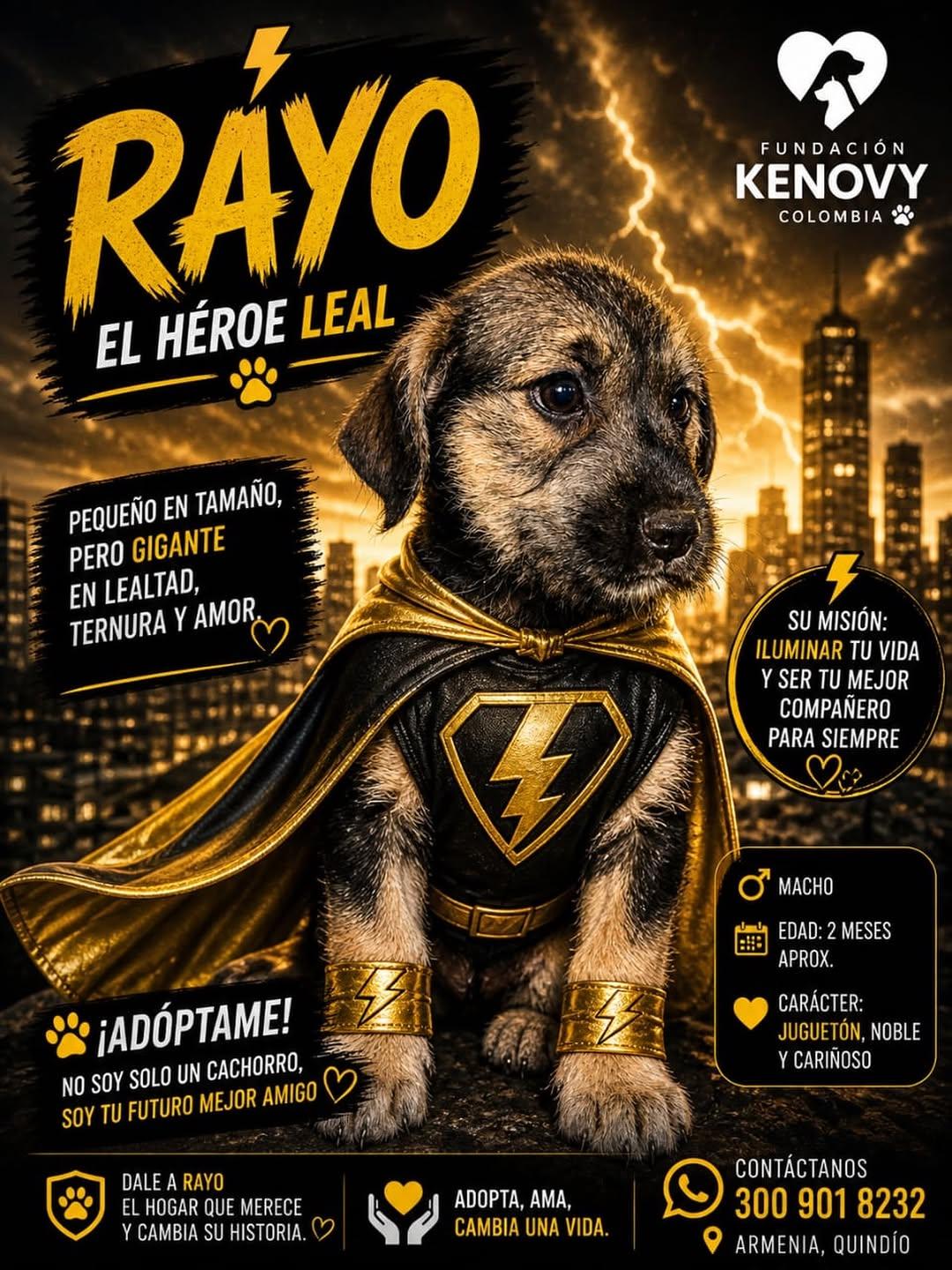 Rayo