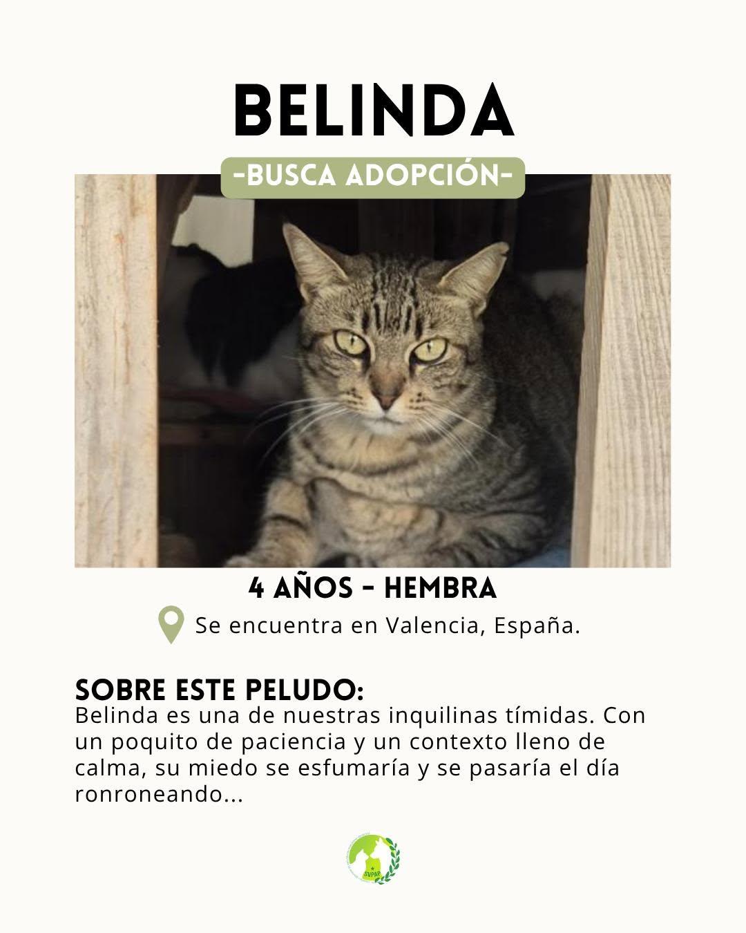 Belinda (2/4)