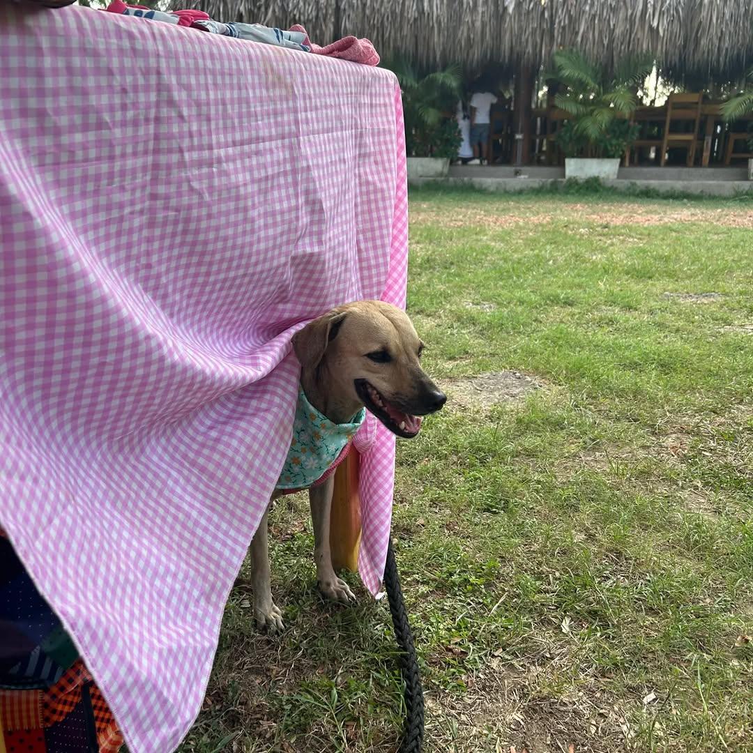 Rafaelita (8/9)