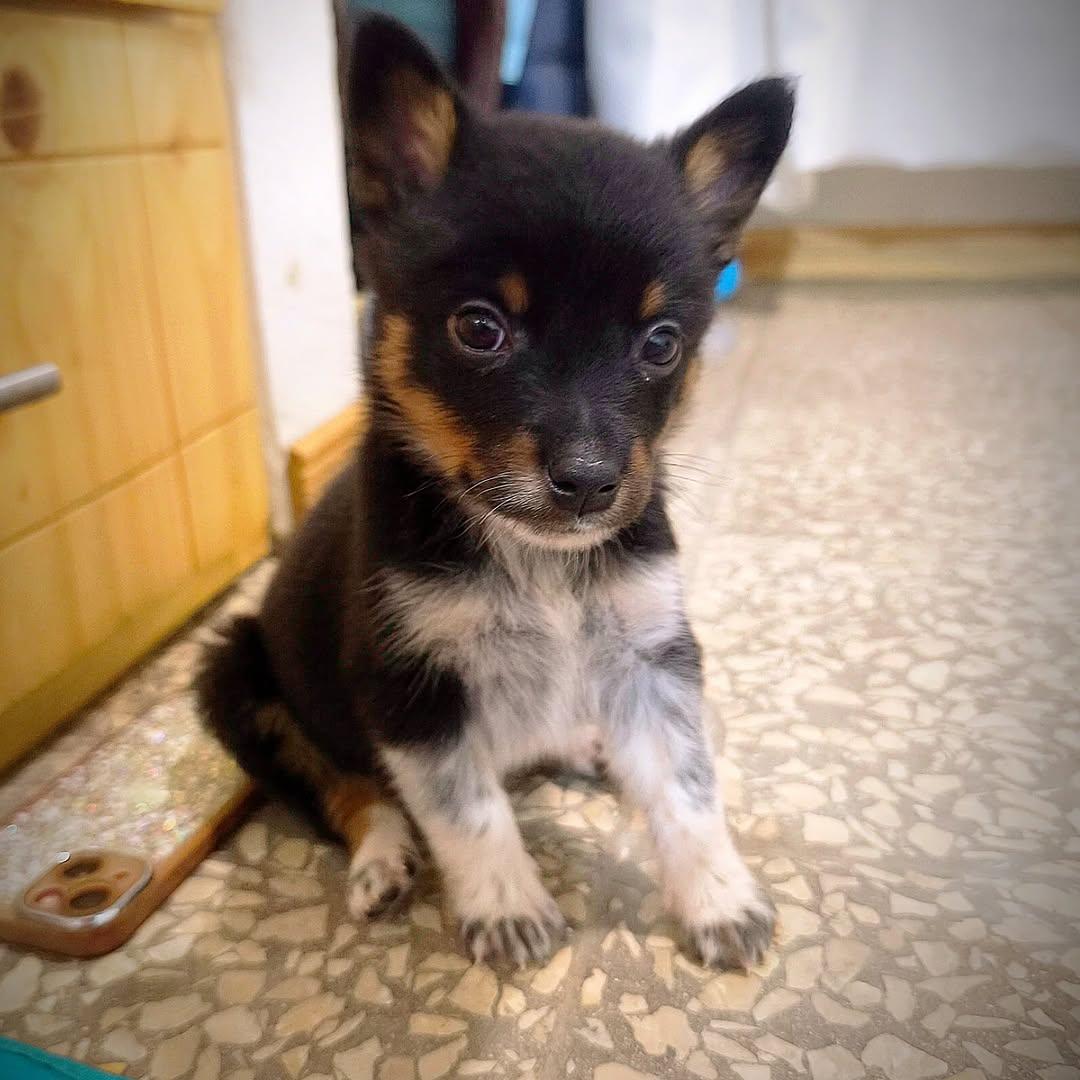 Paco, Lola (2/2)