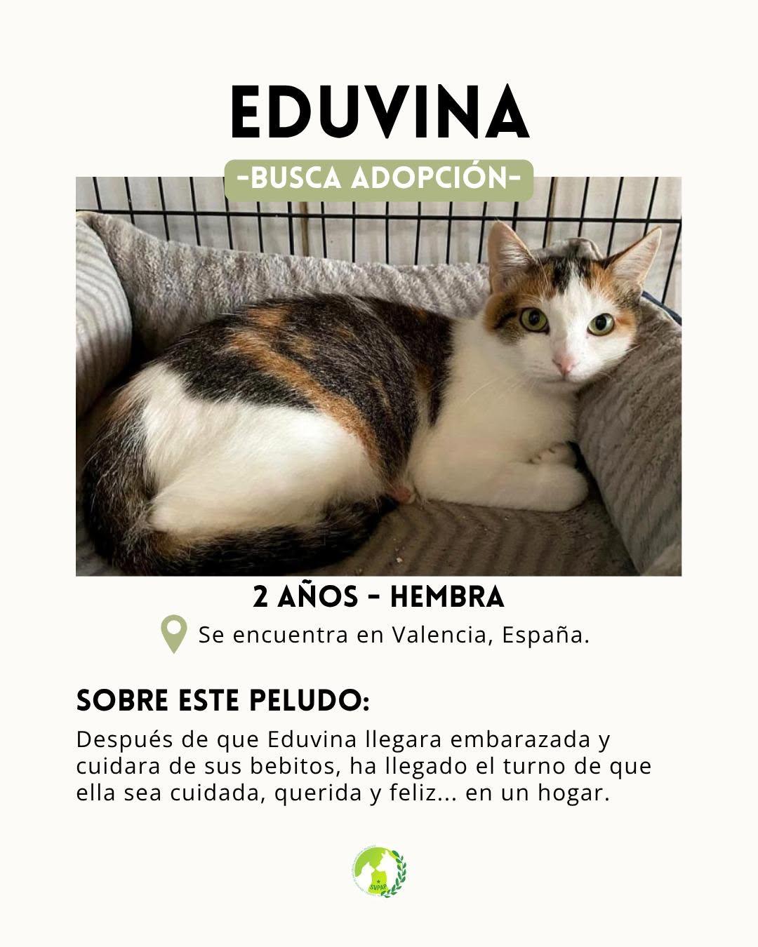 Eduvina (2/8)