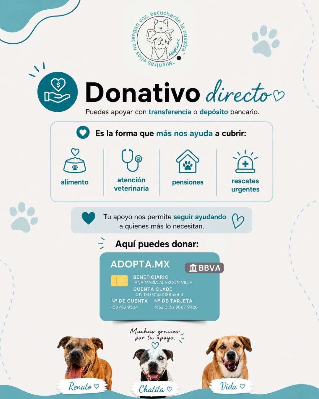 Baxter, Topo, Coffe (2/5)