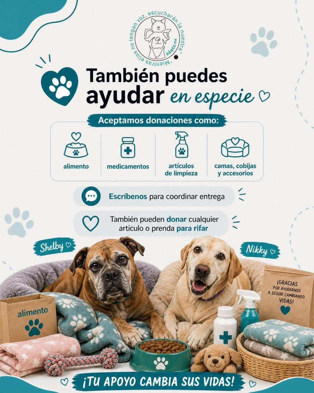 Baxter, Topo, Coffe (5/5)