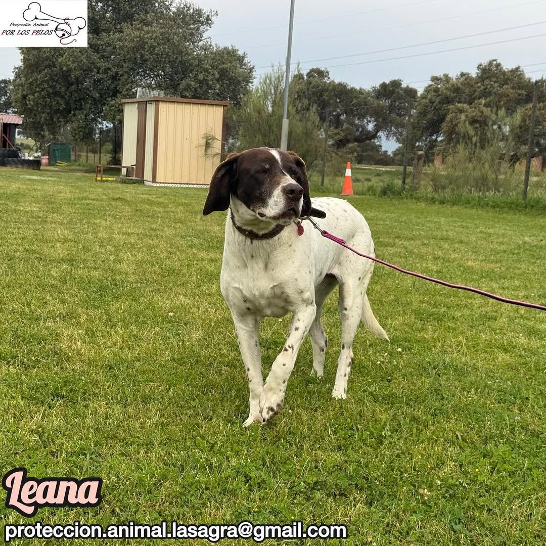 Leana (2/12)