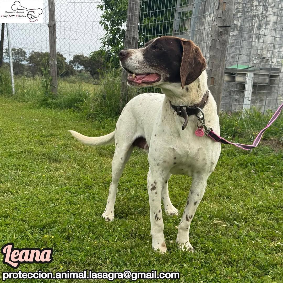 Leana (11/12)