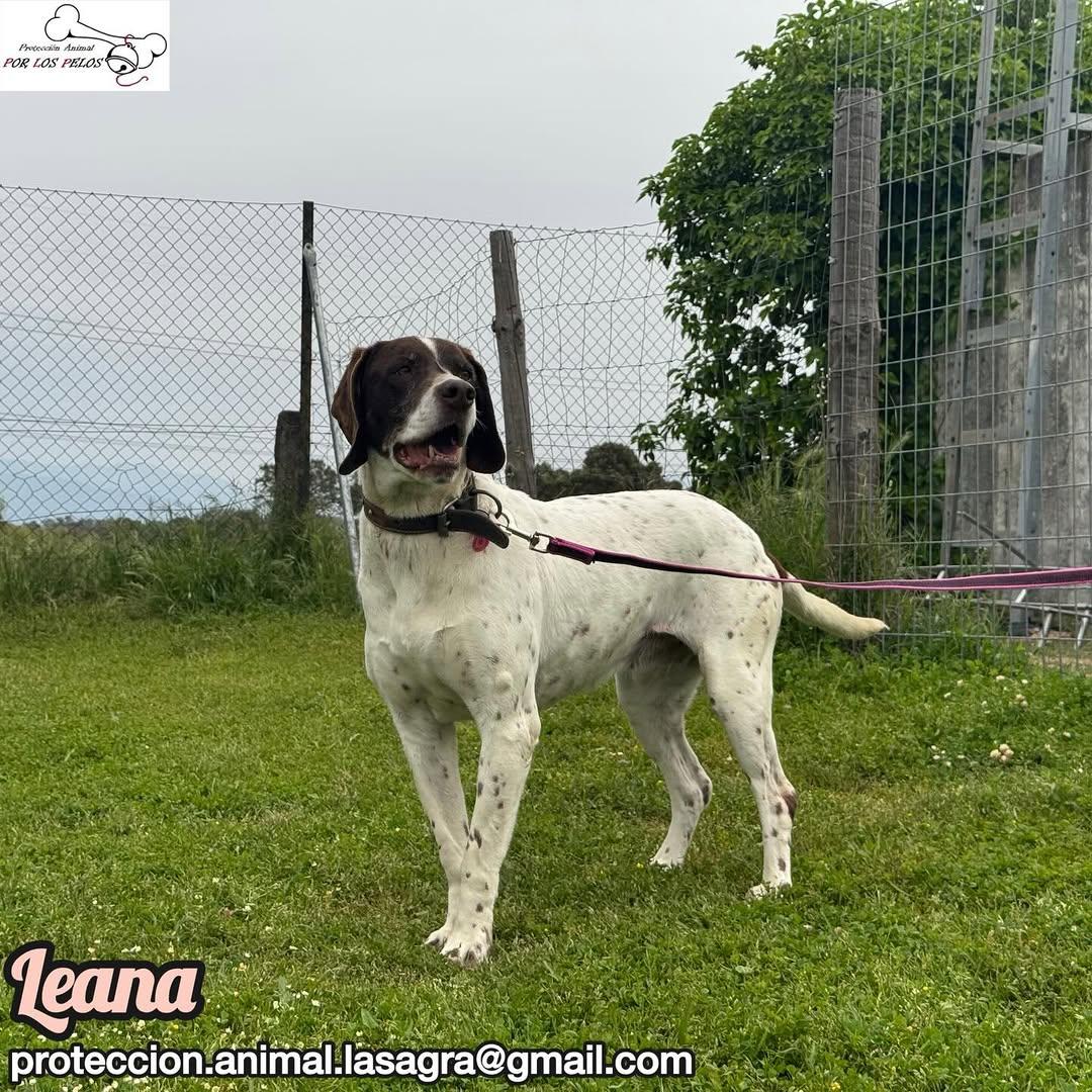 Leana (12/12)