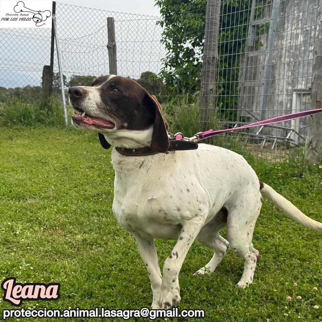 Leana (3/12)