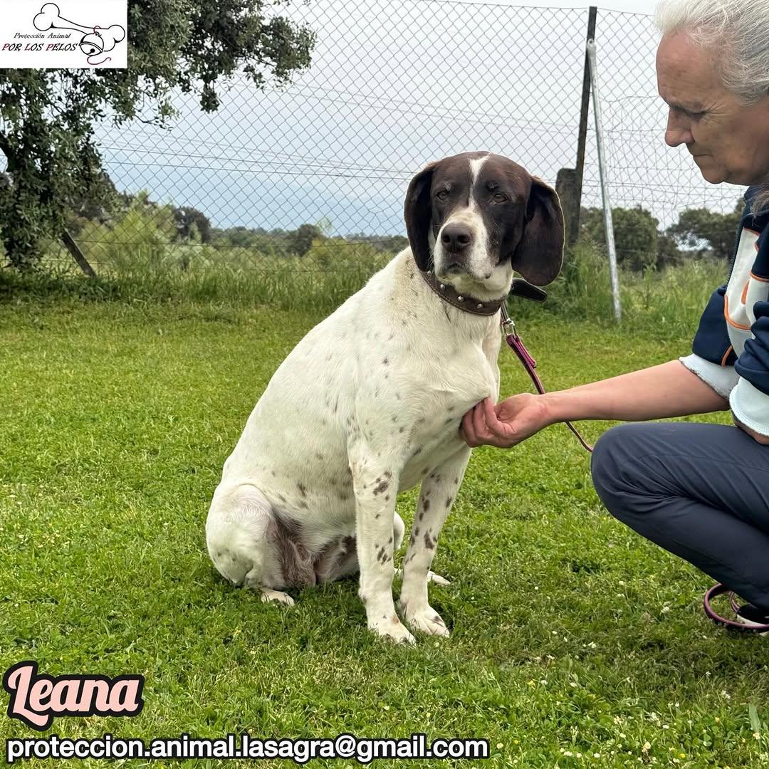 Leana (4/12)