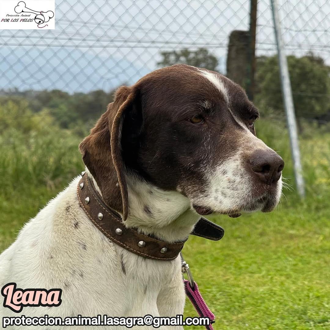 Leana (5/12)