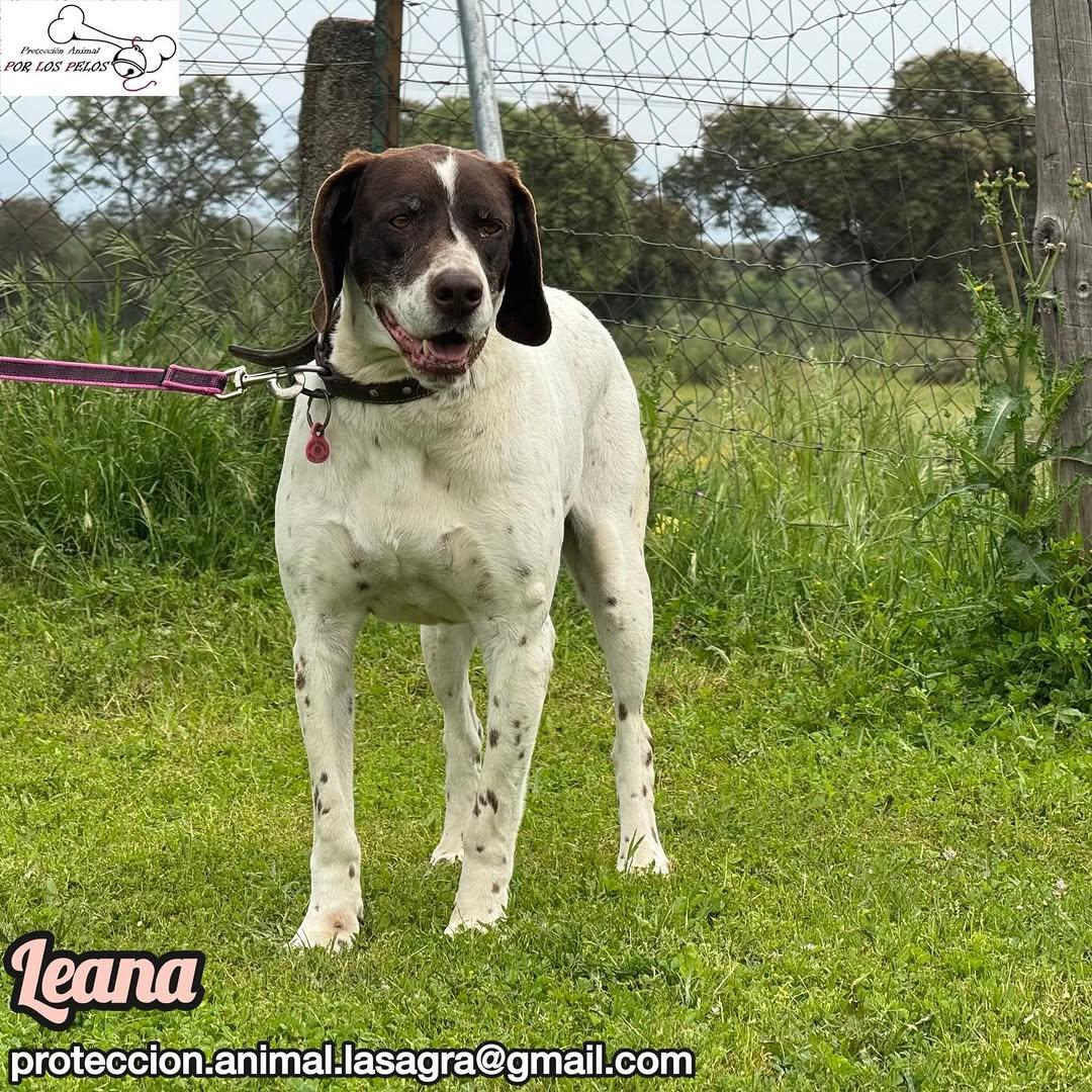 Leana (6/12)