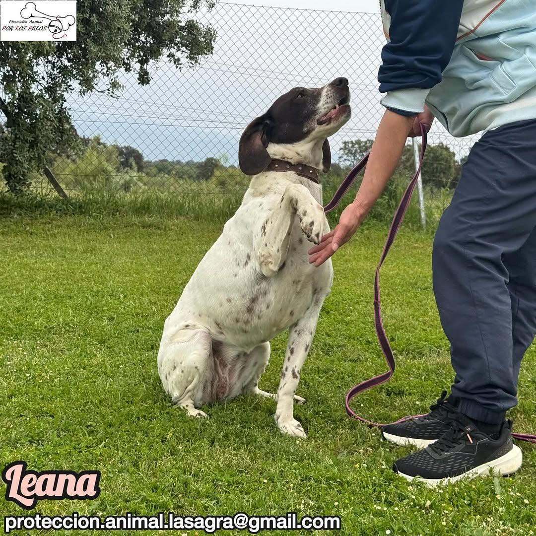 Leana (7/12)