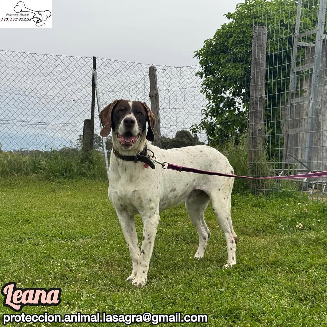 Leana (8/12)