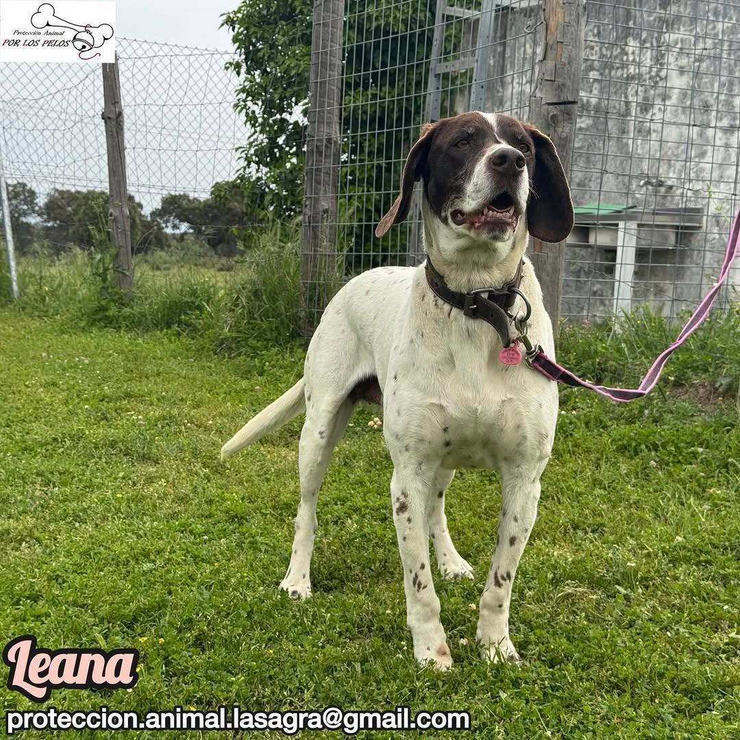 Leana (9/12)