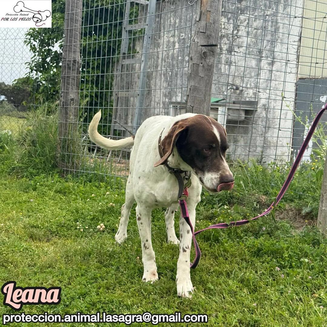 Leana (10/12)