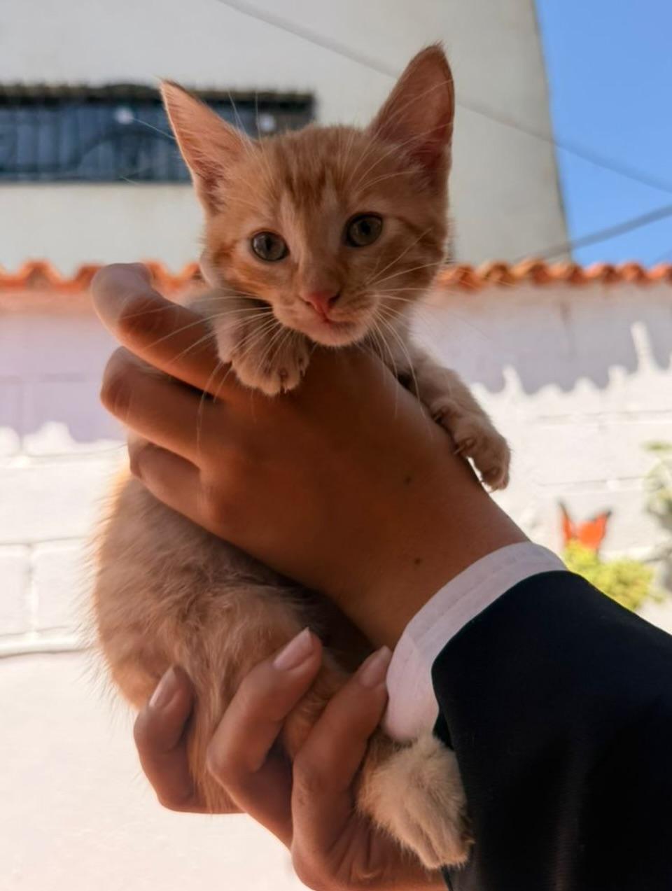 19 animalitos (6/20)