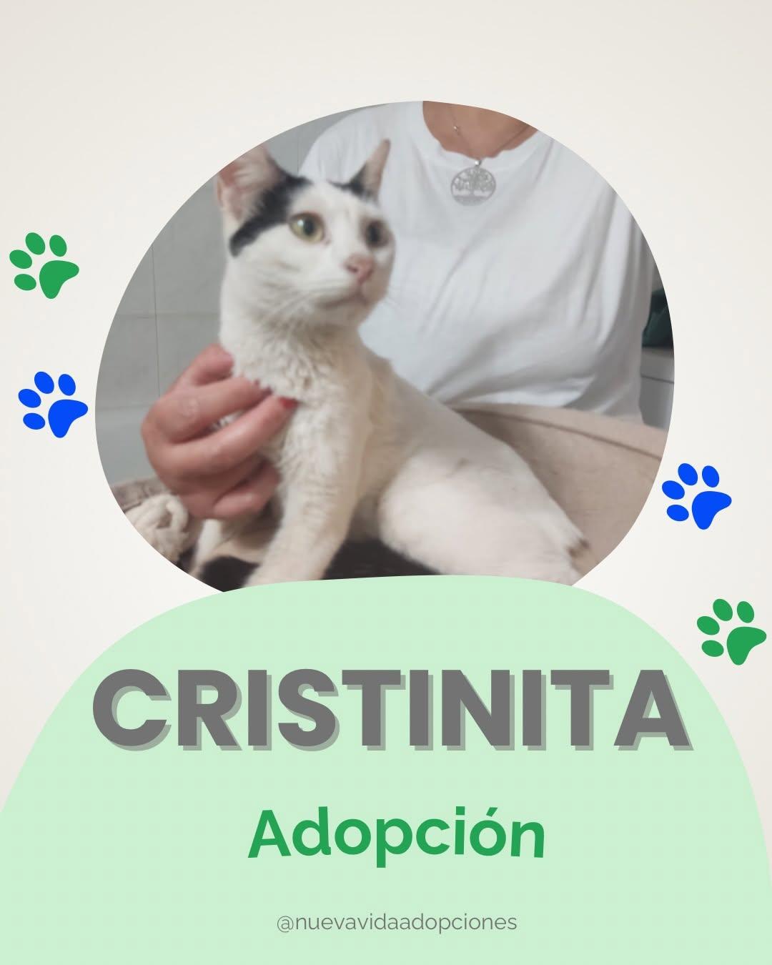 Cristinita (1/3)