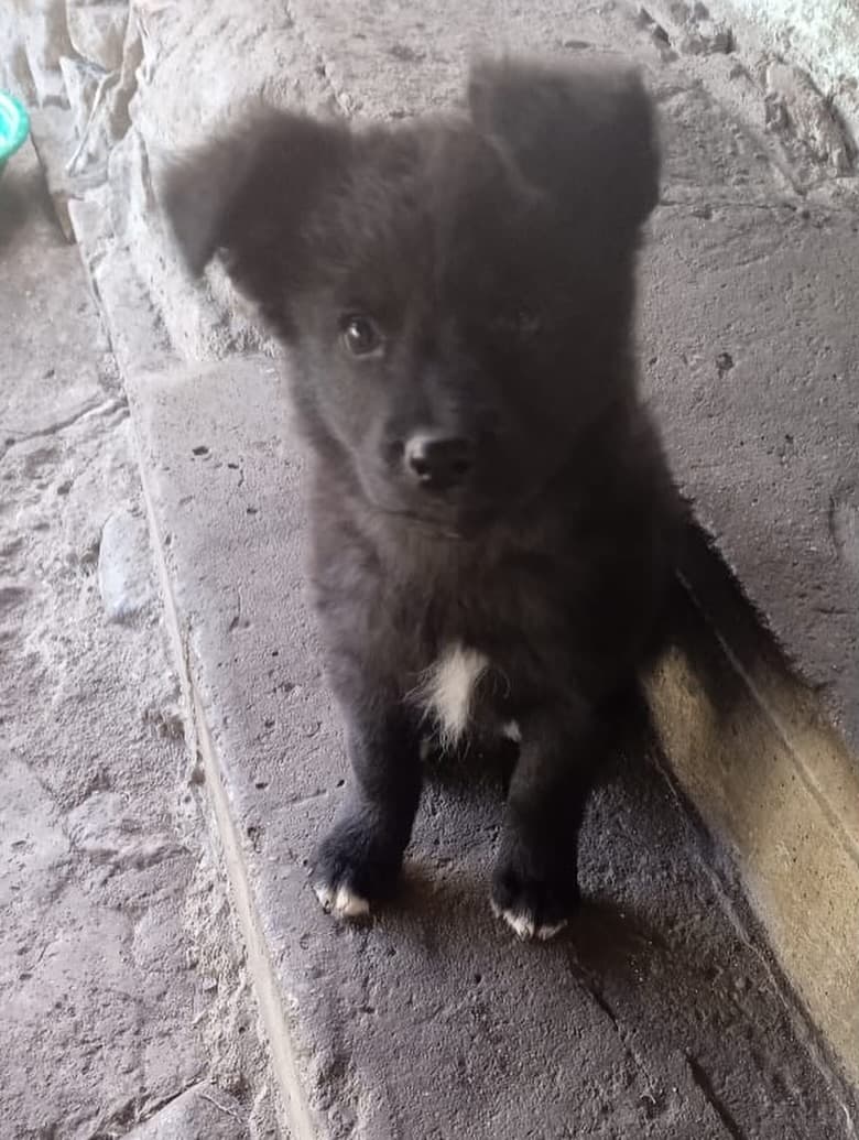 Maybe, Luna, Lupe (5/8)