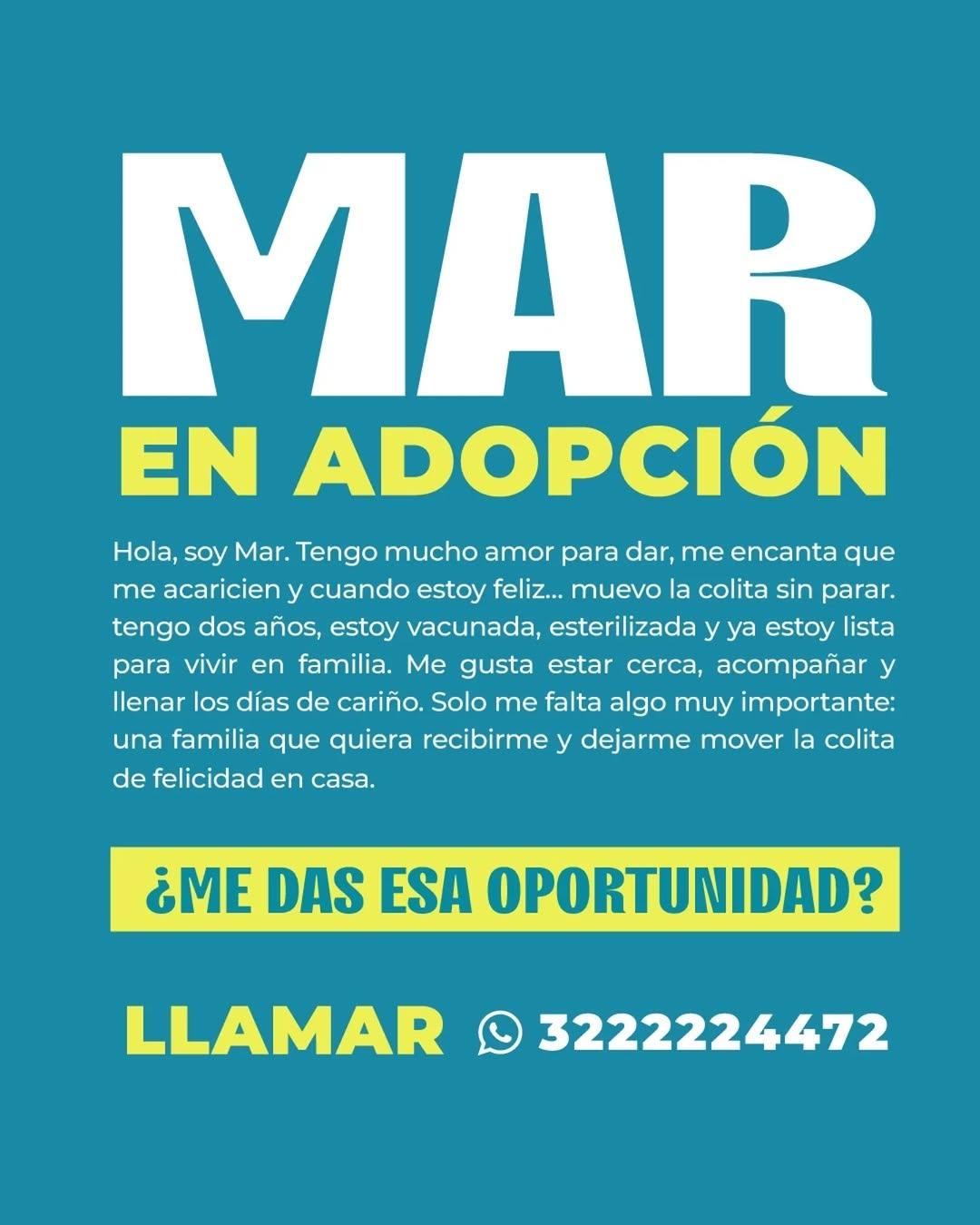 Mar (4/5)