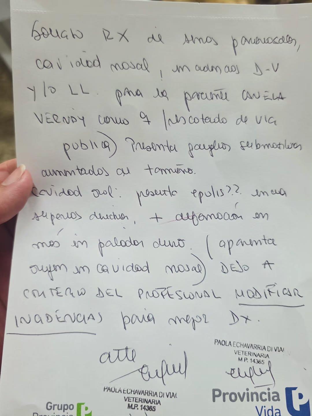 Canela (11/11)