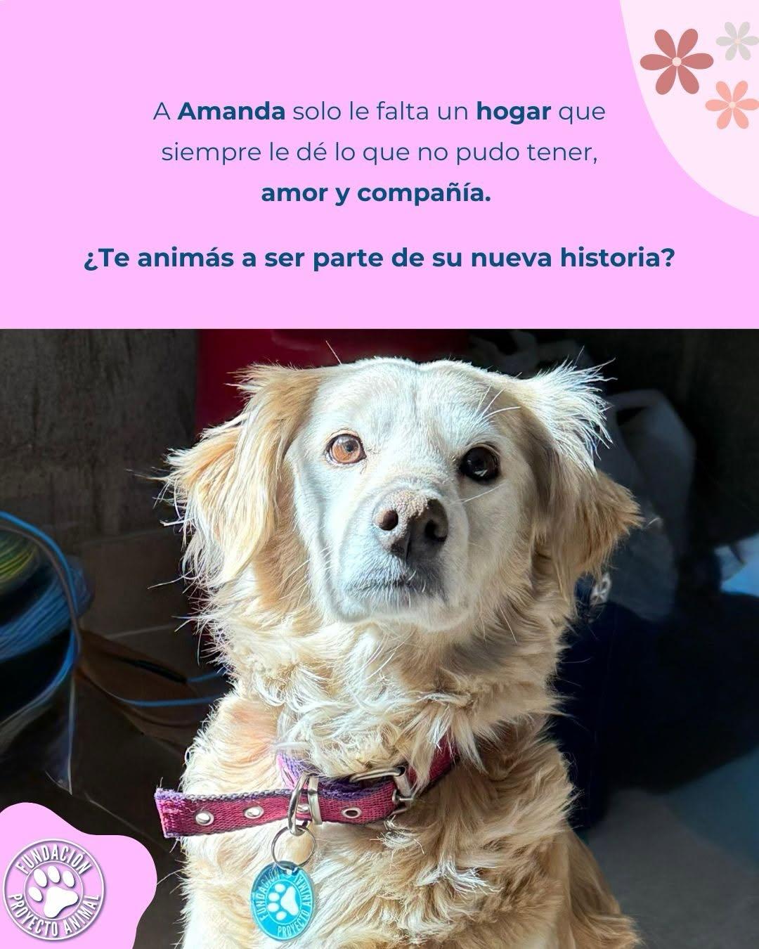 Amanda (3/4)