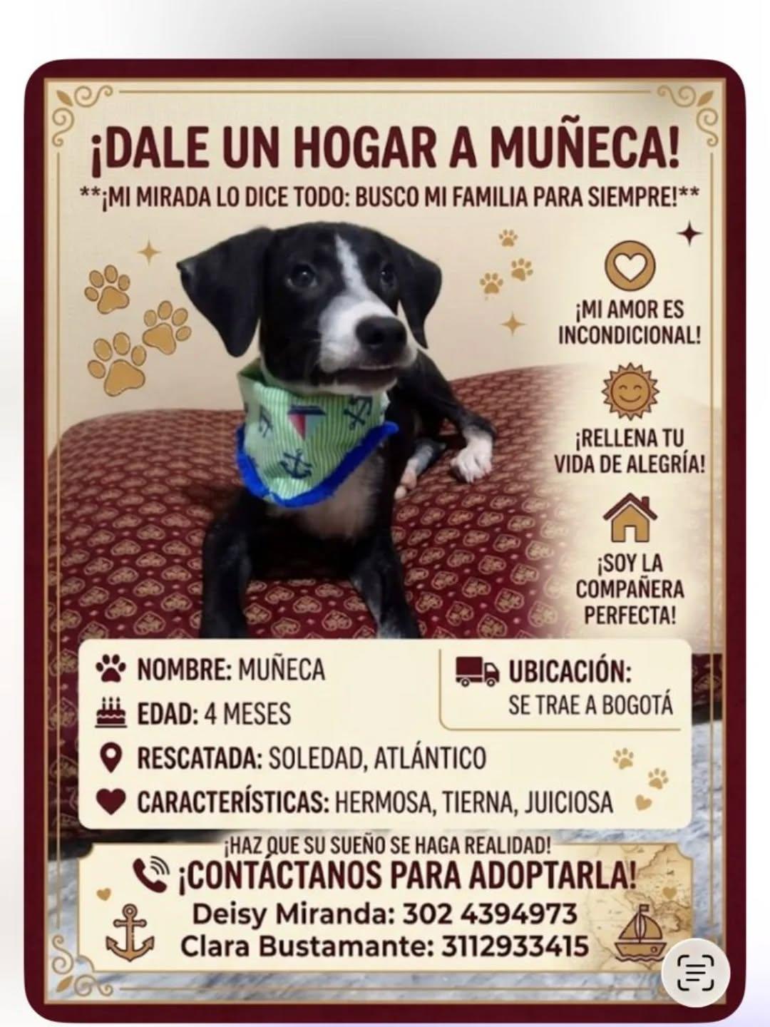 Muñeca