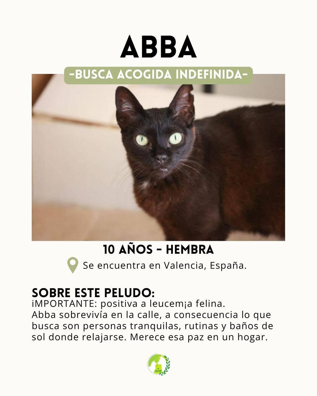 Abba (2/6)