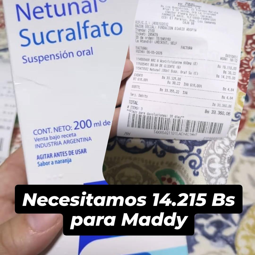 Maddy (2/3)