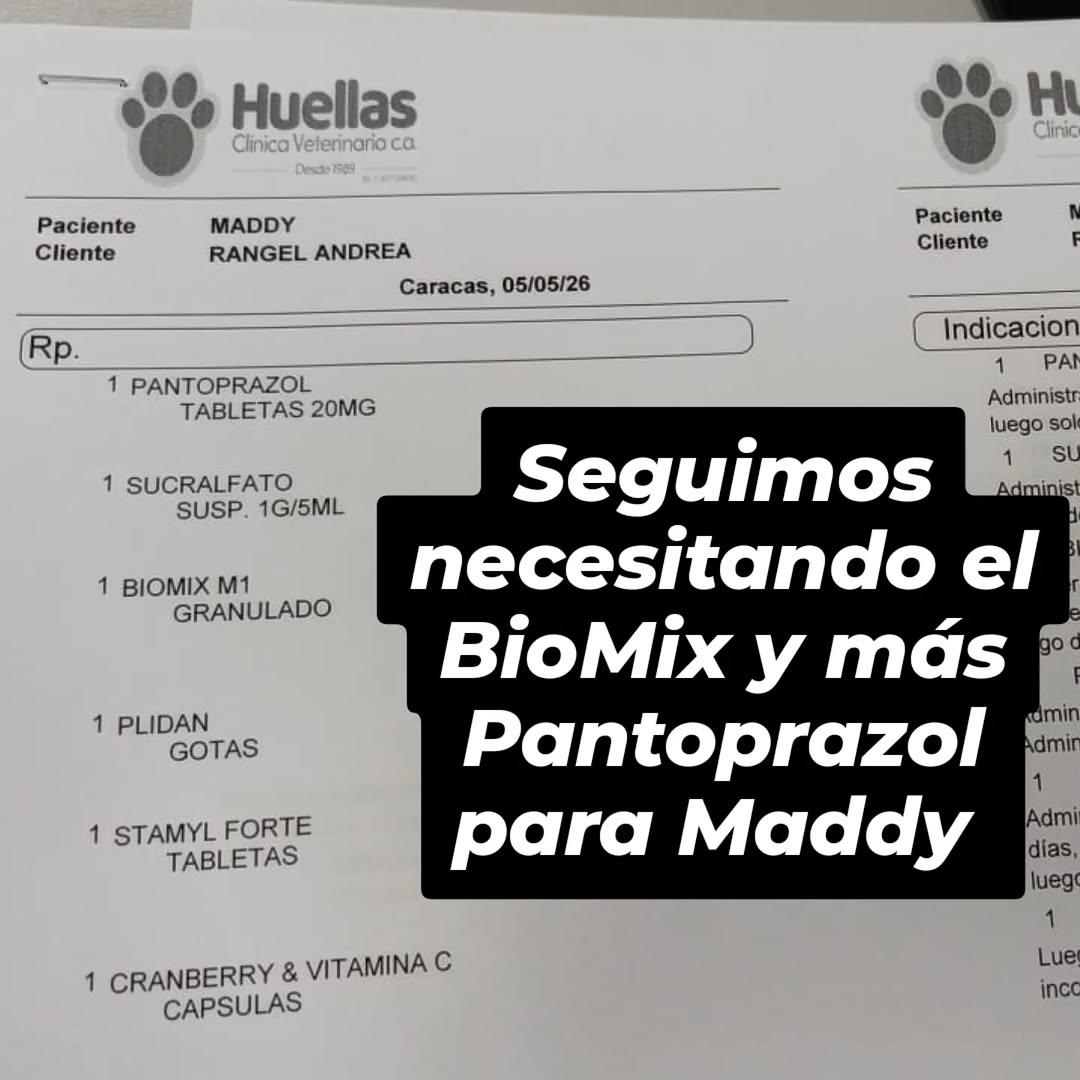 Maddy (3/3)