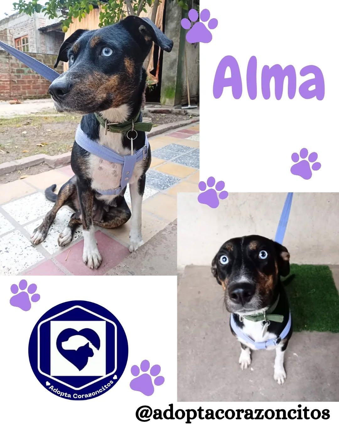 Alma