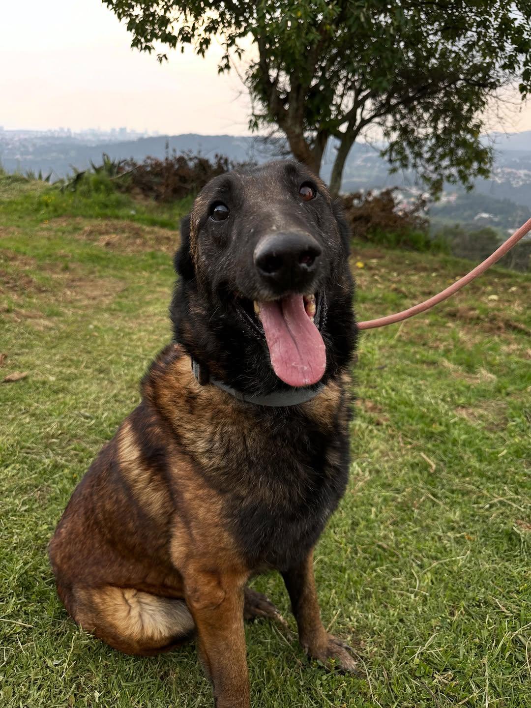 Matías (5/6)