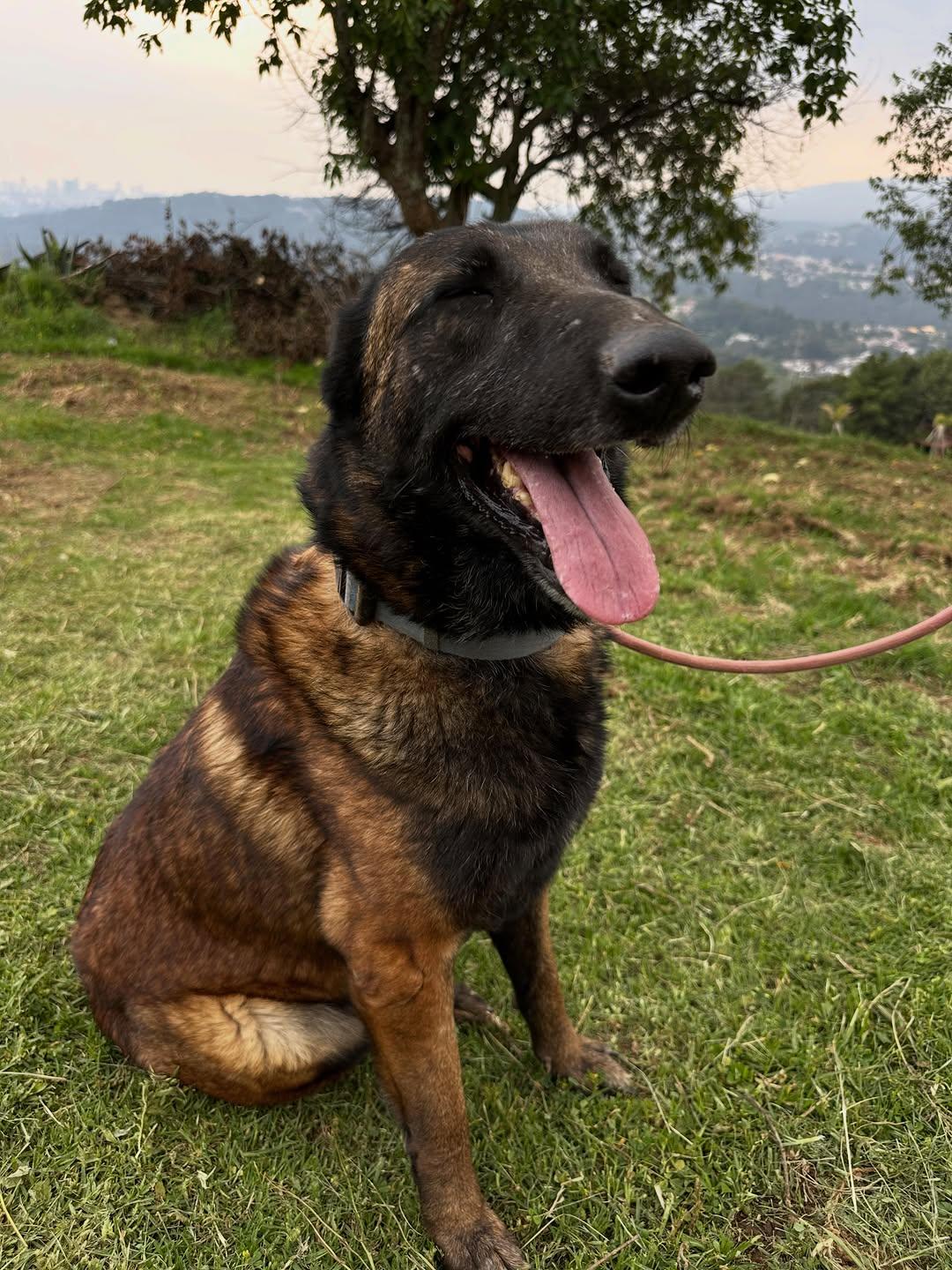 Matías (6/6)
