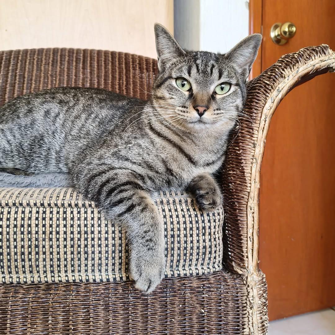 Mia