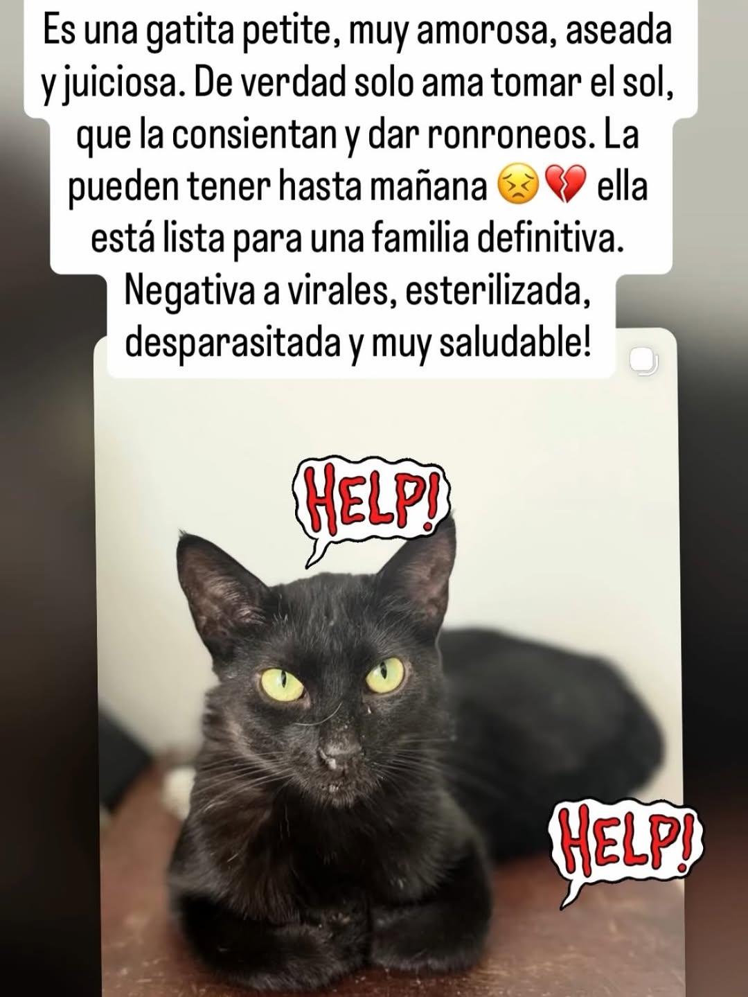 Negrura (1/2)