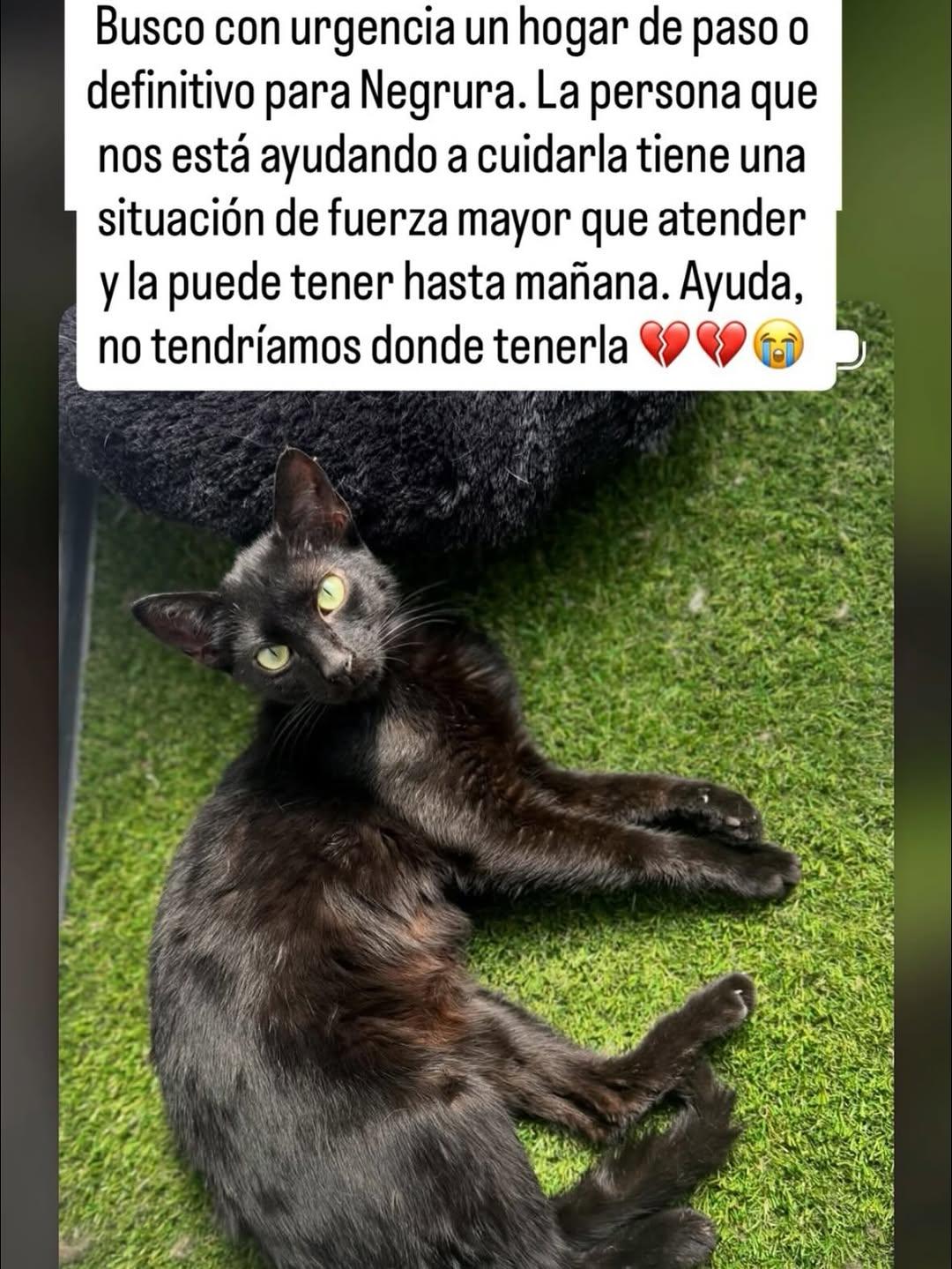 Negrura (2/2)