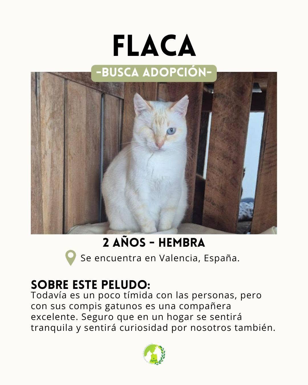 Flaca (2/5)