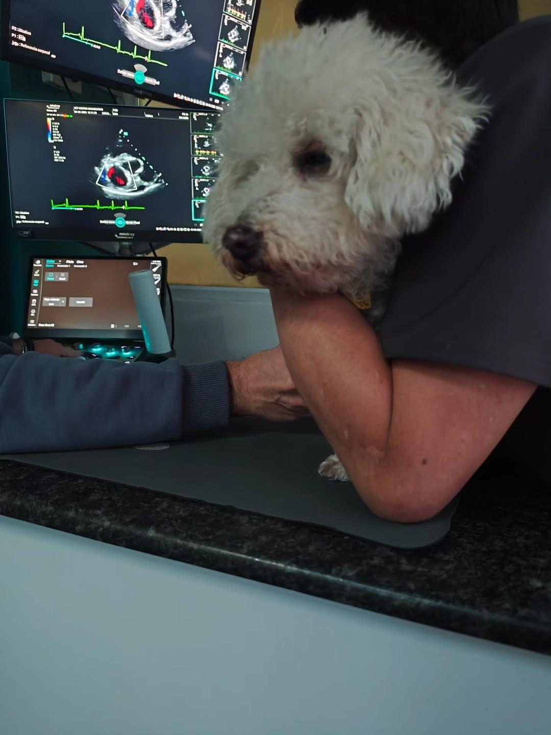 Max (4/6)