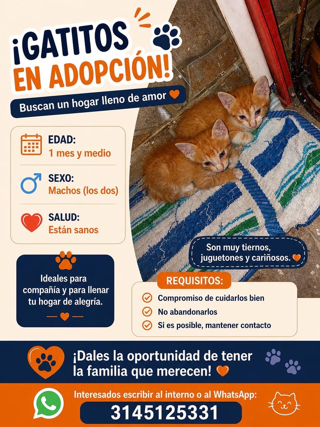 2 animalitos