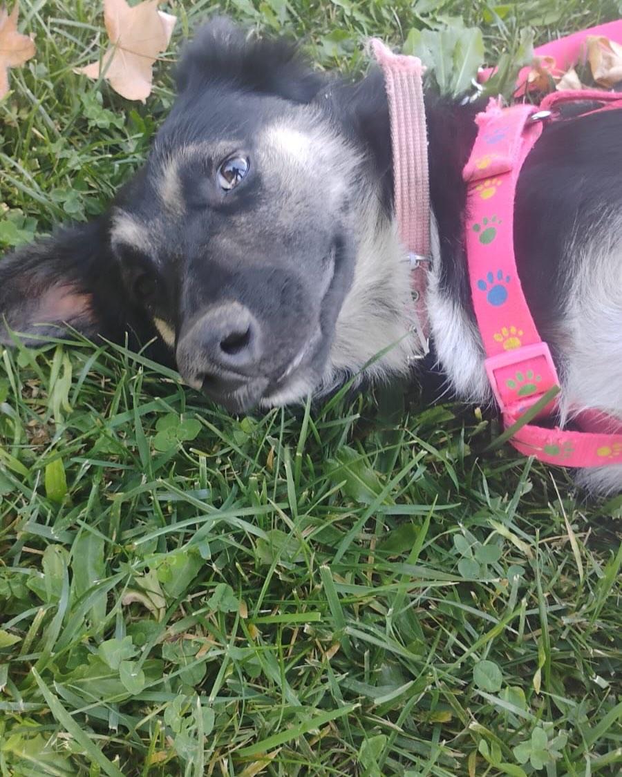 Dulce (5/7)
