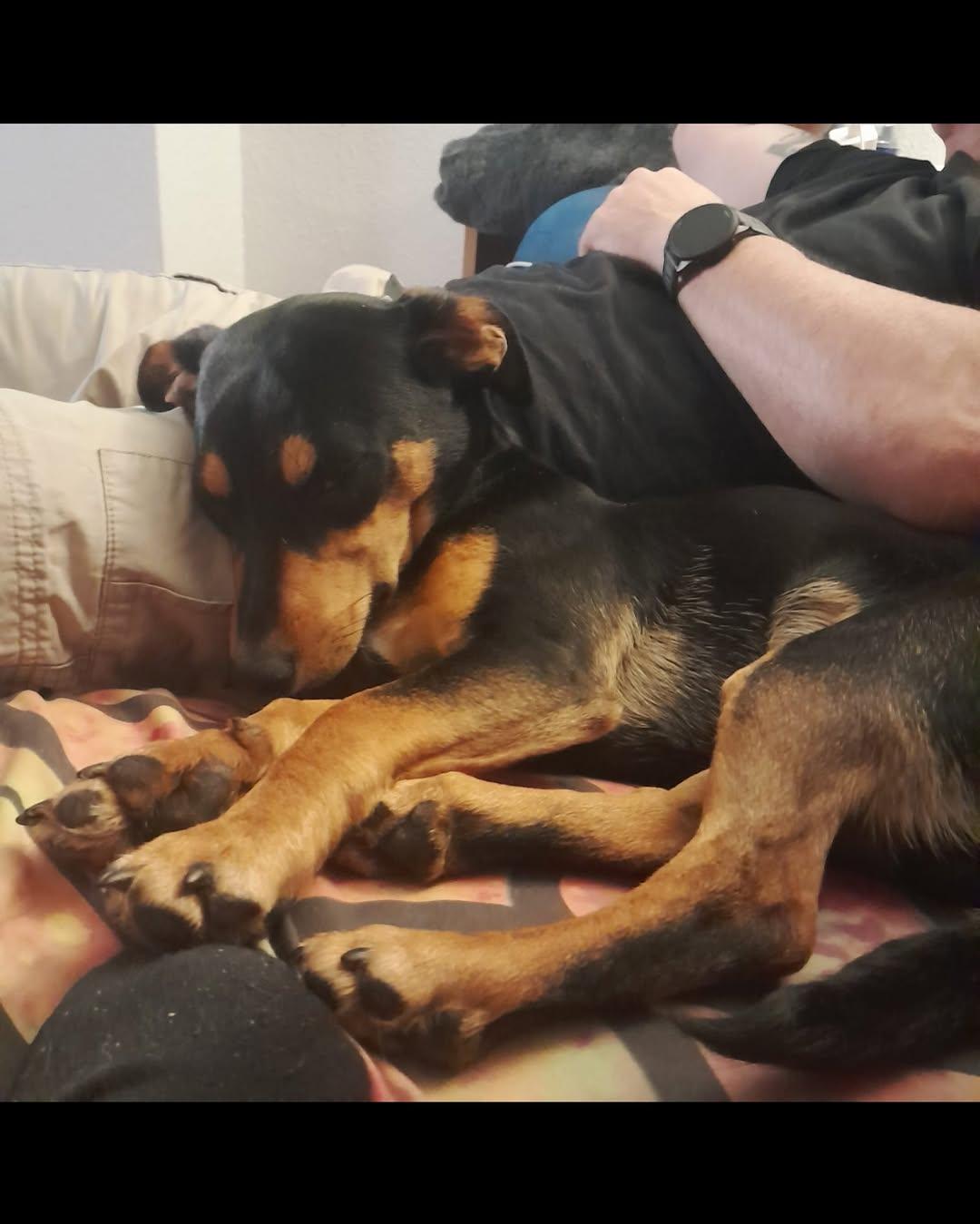 ZEUS (2/2)
