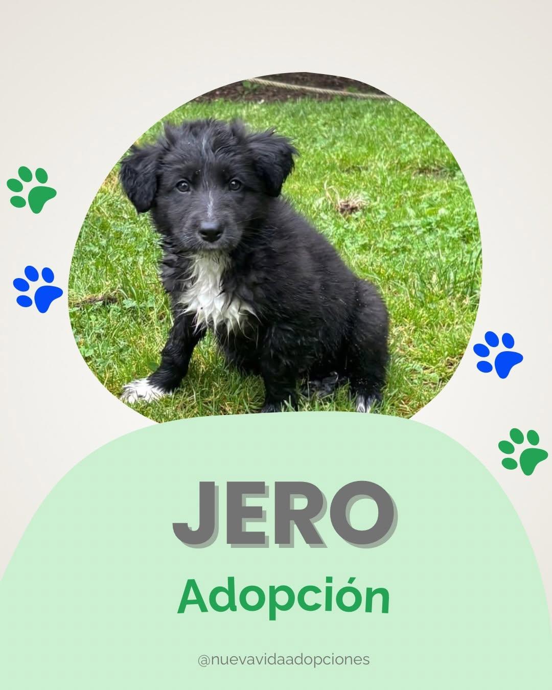 JERO (1/2)