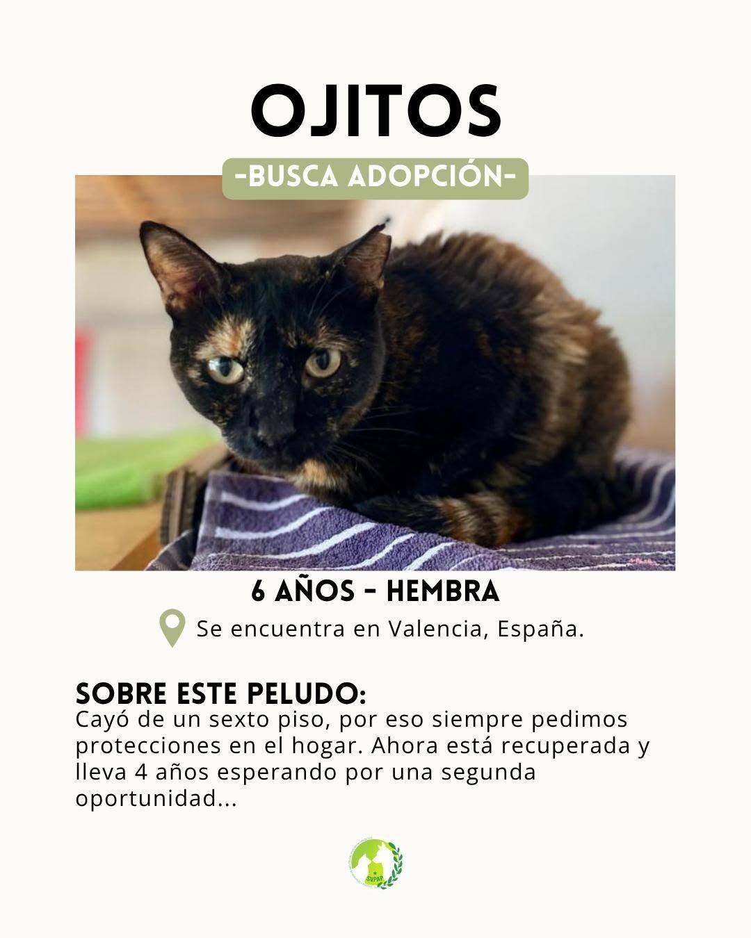Ojitos (2/8)
