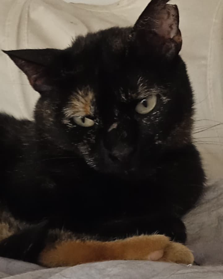 Ojitos (6/8)