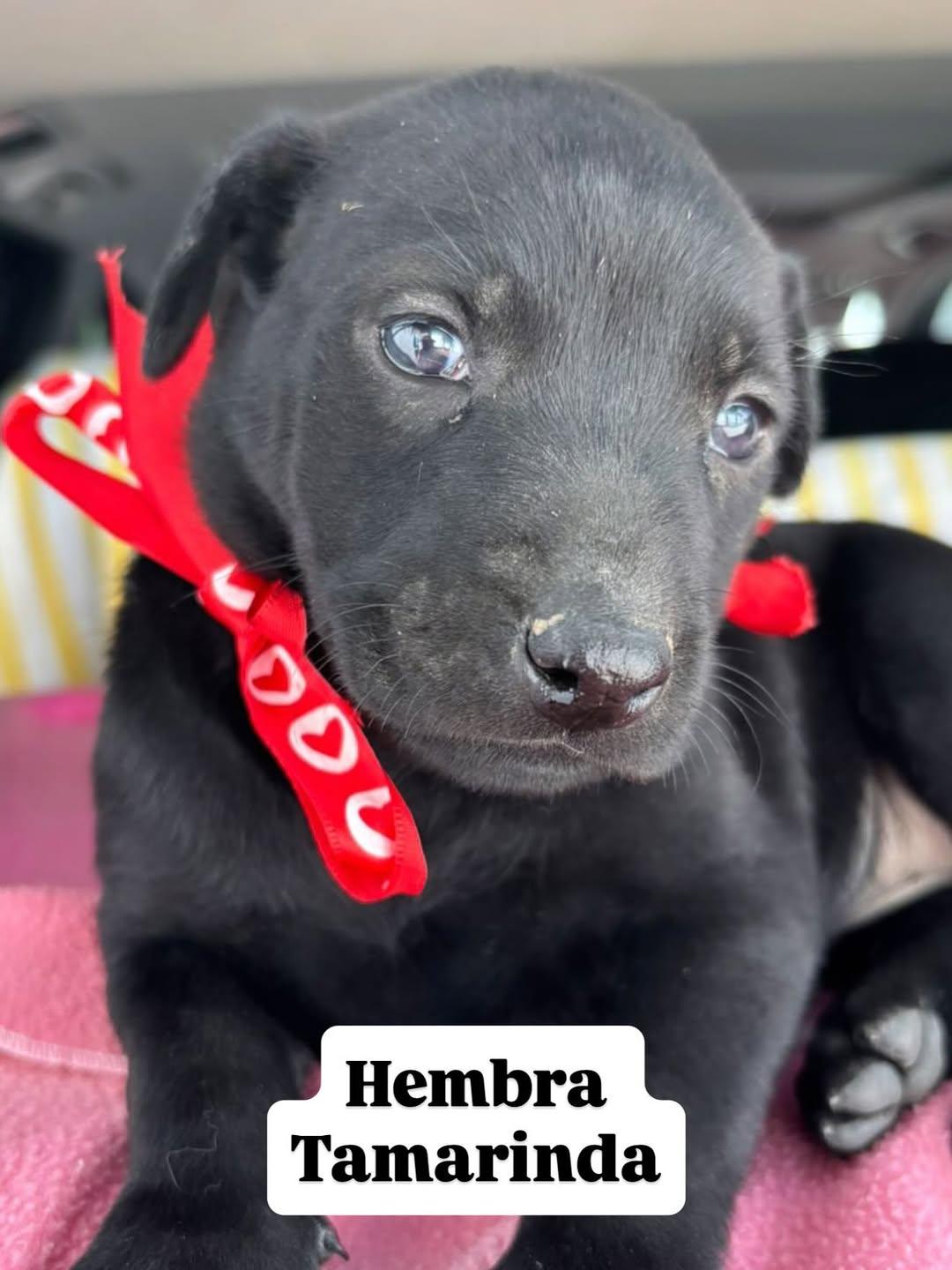 Sin nombre (3/8)
