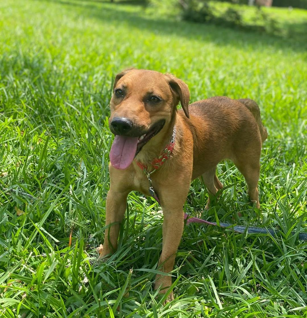 Cici (1/2)