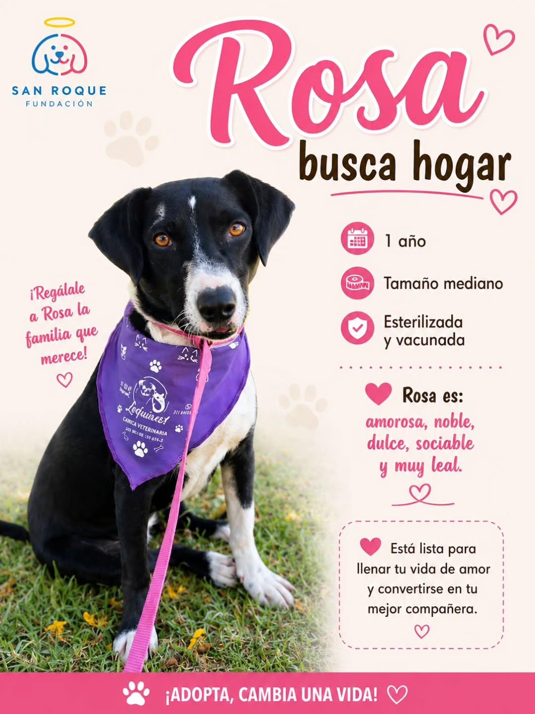 Rosa